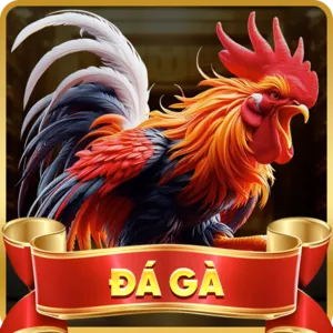 Cá cược Thể thao 789win