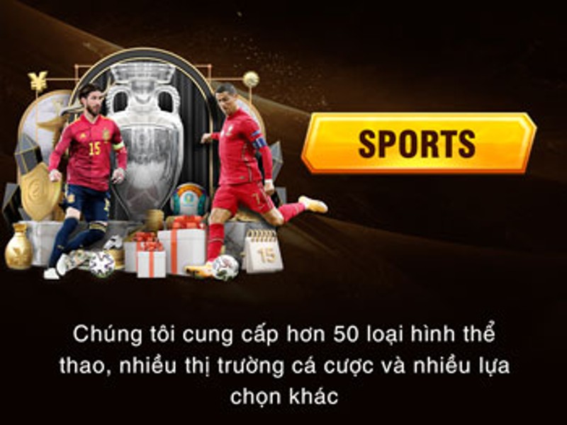 Cá cược Thể thao 789win
